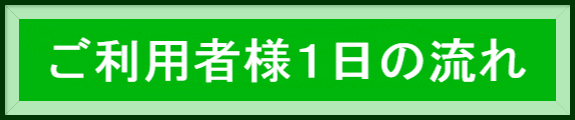 1日の流れ